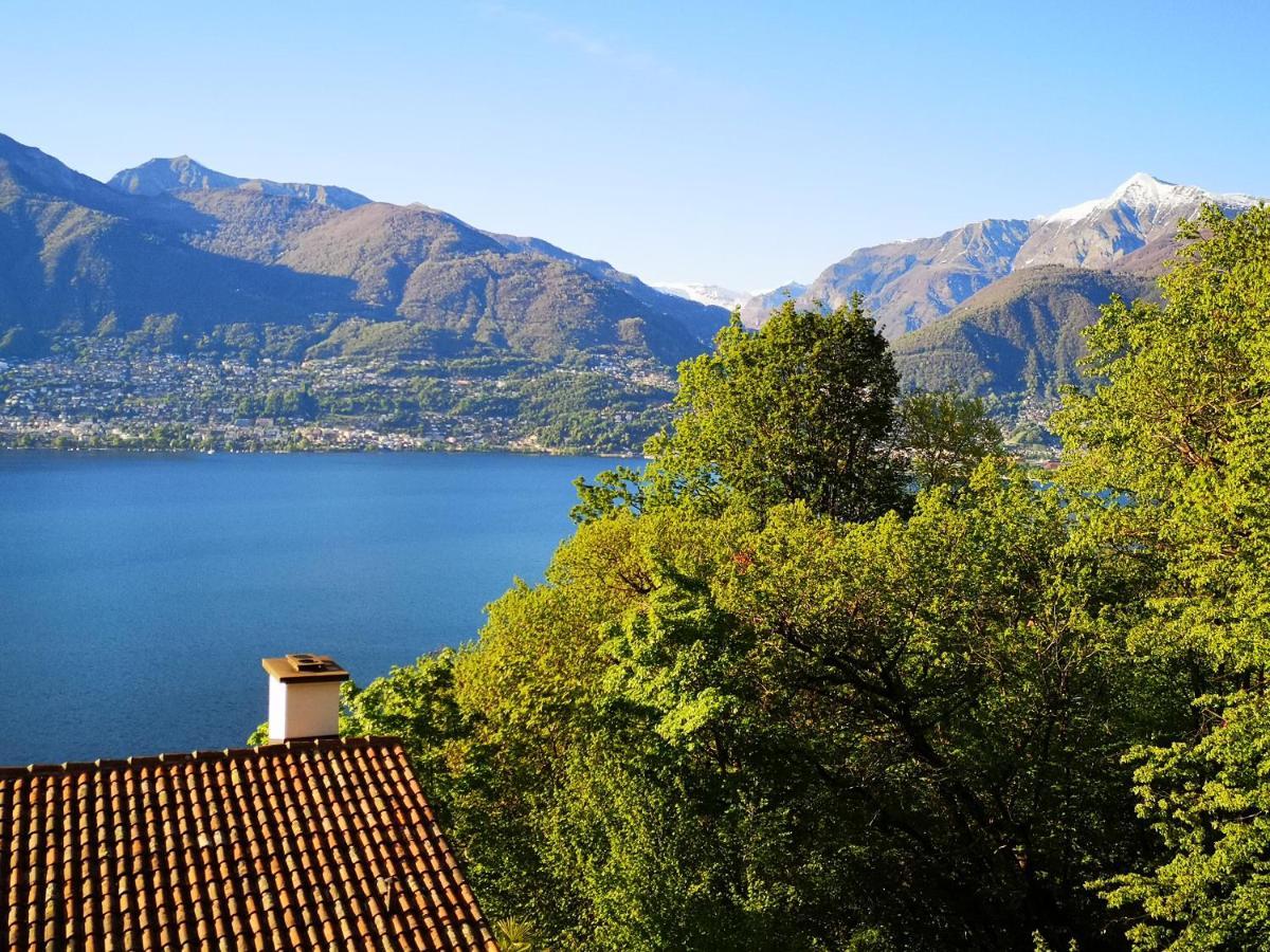 Apartmán 1 Mit Seesicht Und Pool Gambarogno